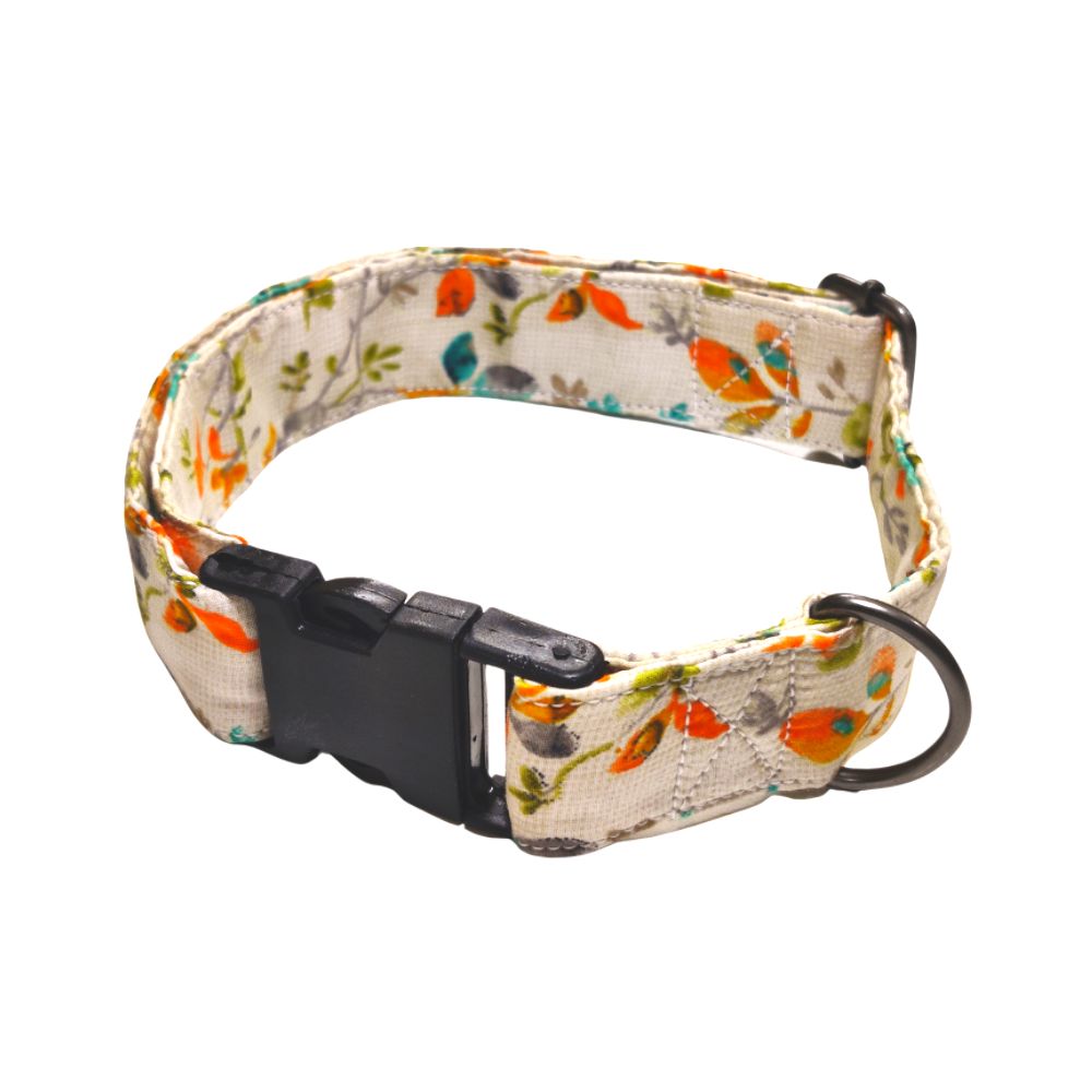 collars for dog collars for dog