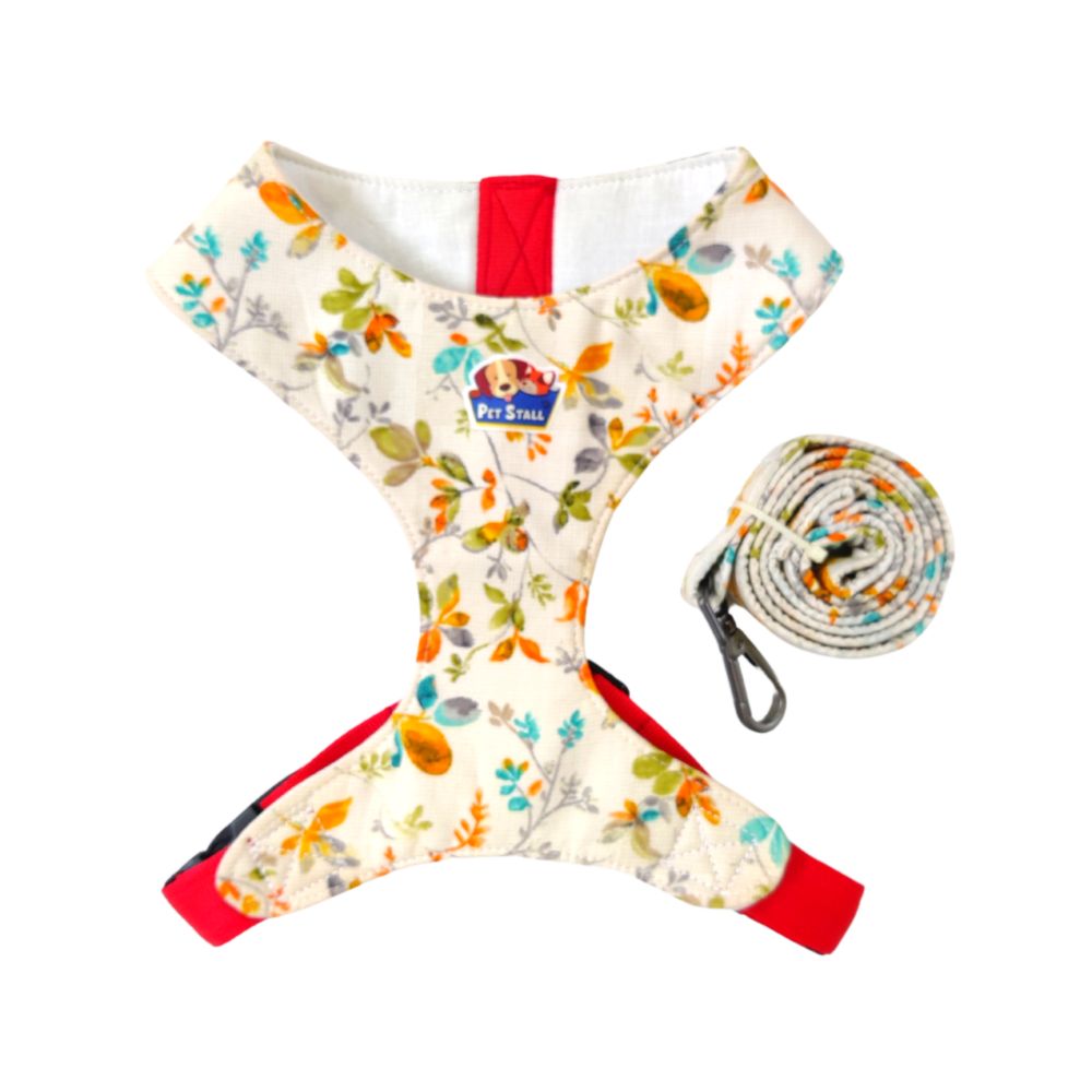 leash and harness for dogs leash and harness for dogs