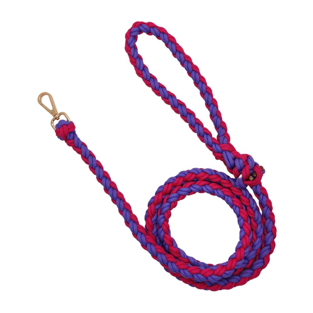 paracord leash for dogs paracord leash for dogs