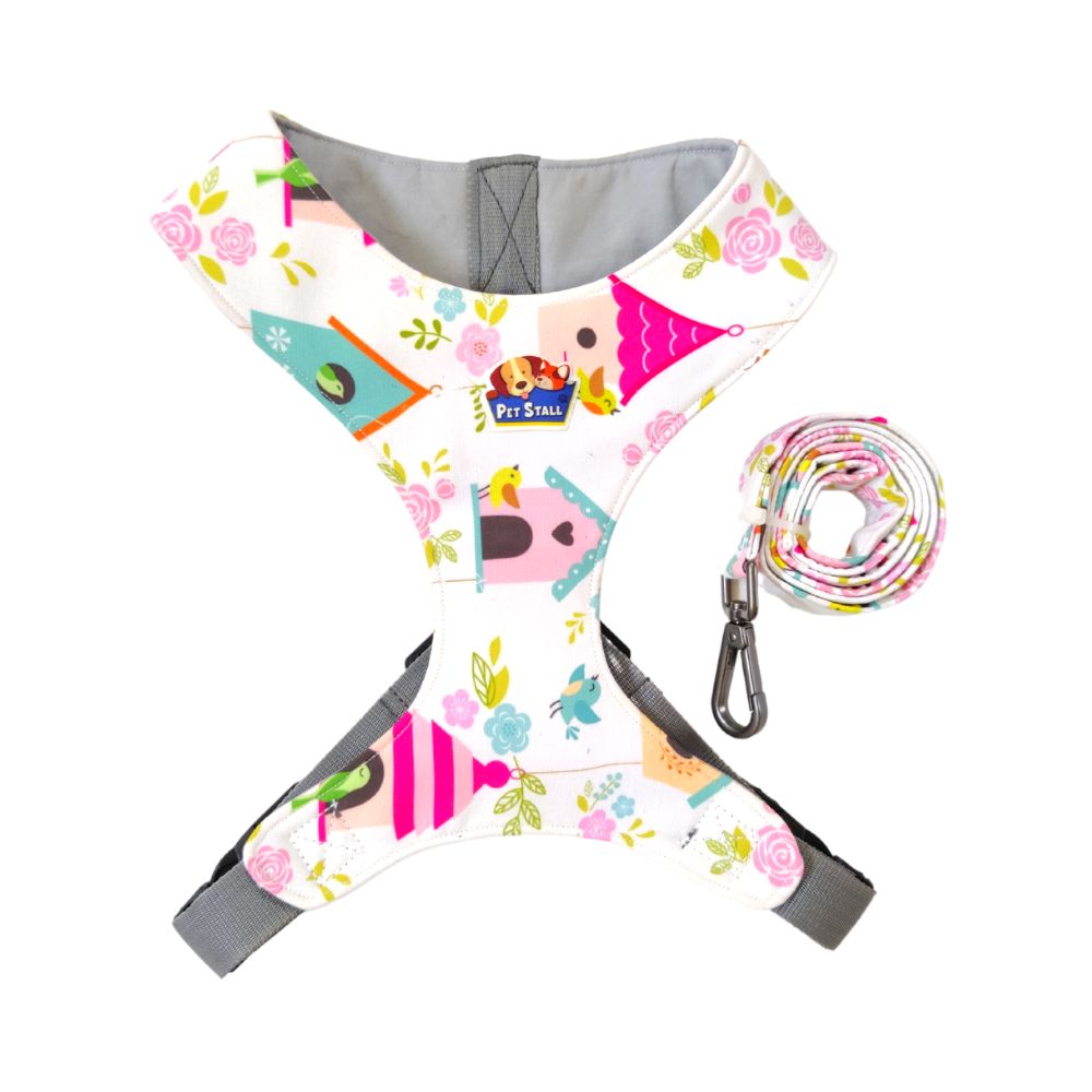 leash and harness for dogs leash and harness for dogs