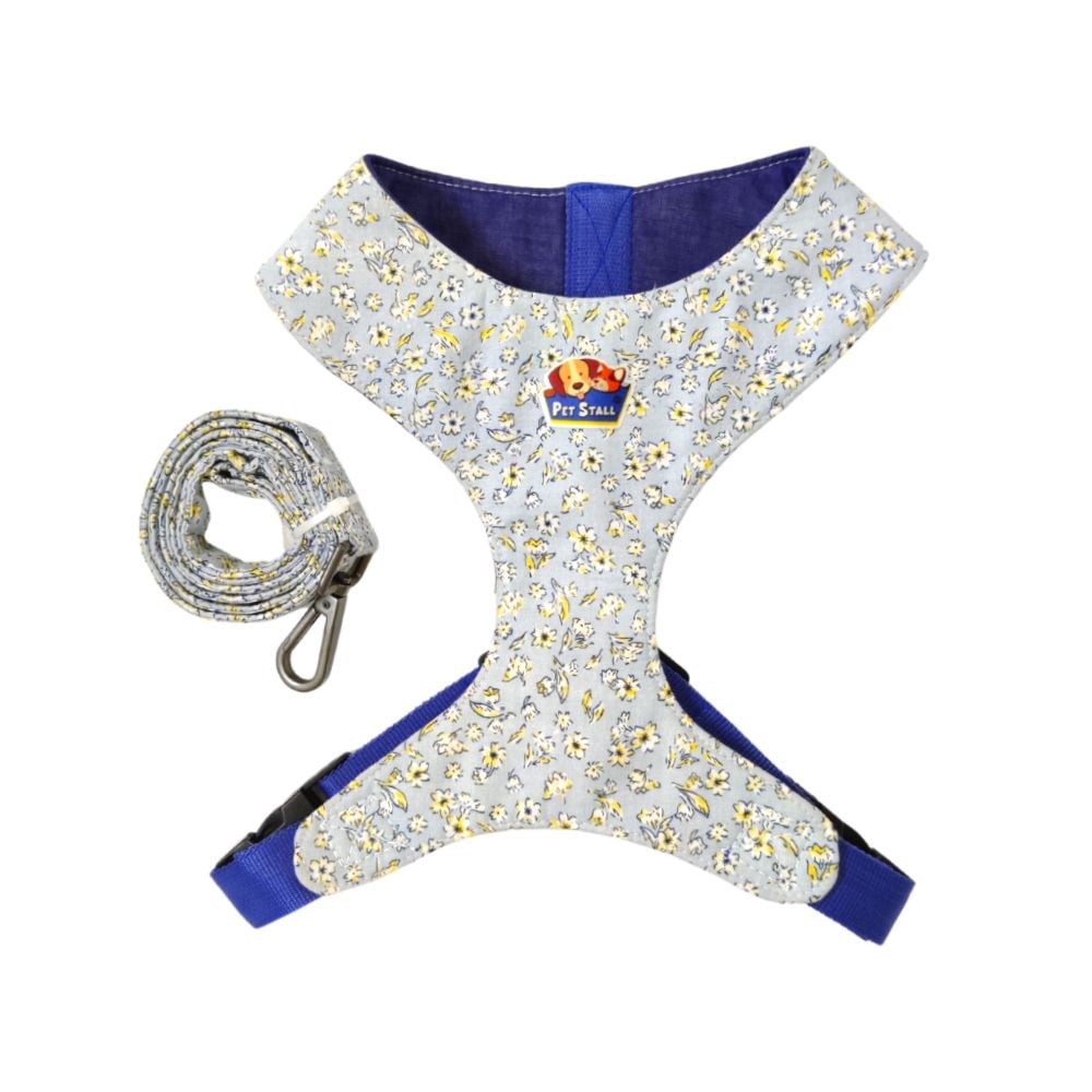 leash and harness for dogs leash and harness for dogs